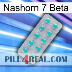 Rhino 7 Beta 28